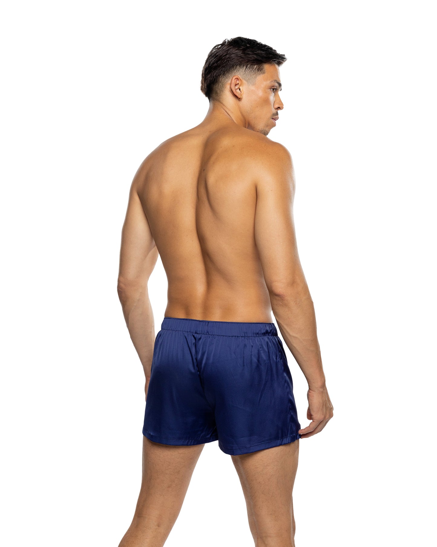 Champion Boxer Roma Confidential