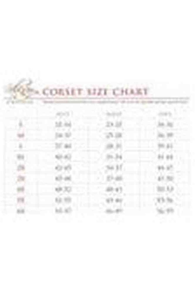 Lavish Purple Skulls Print Mesh Underwire Cincher w/Built In Halter Top