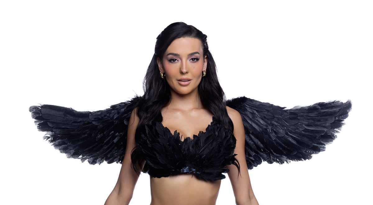 Deluxe Costume Wings - Accessory