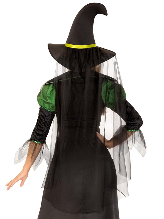 Storybook Witch Costume