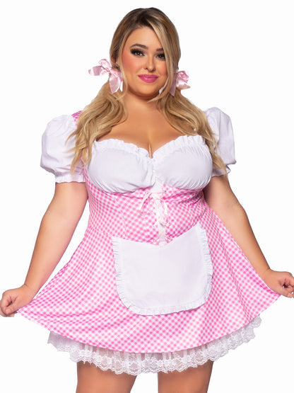 Gingham Dress With Apron Costume