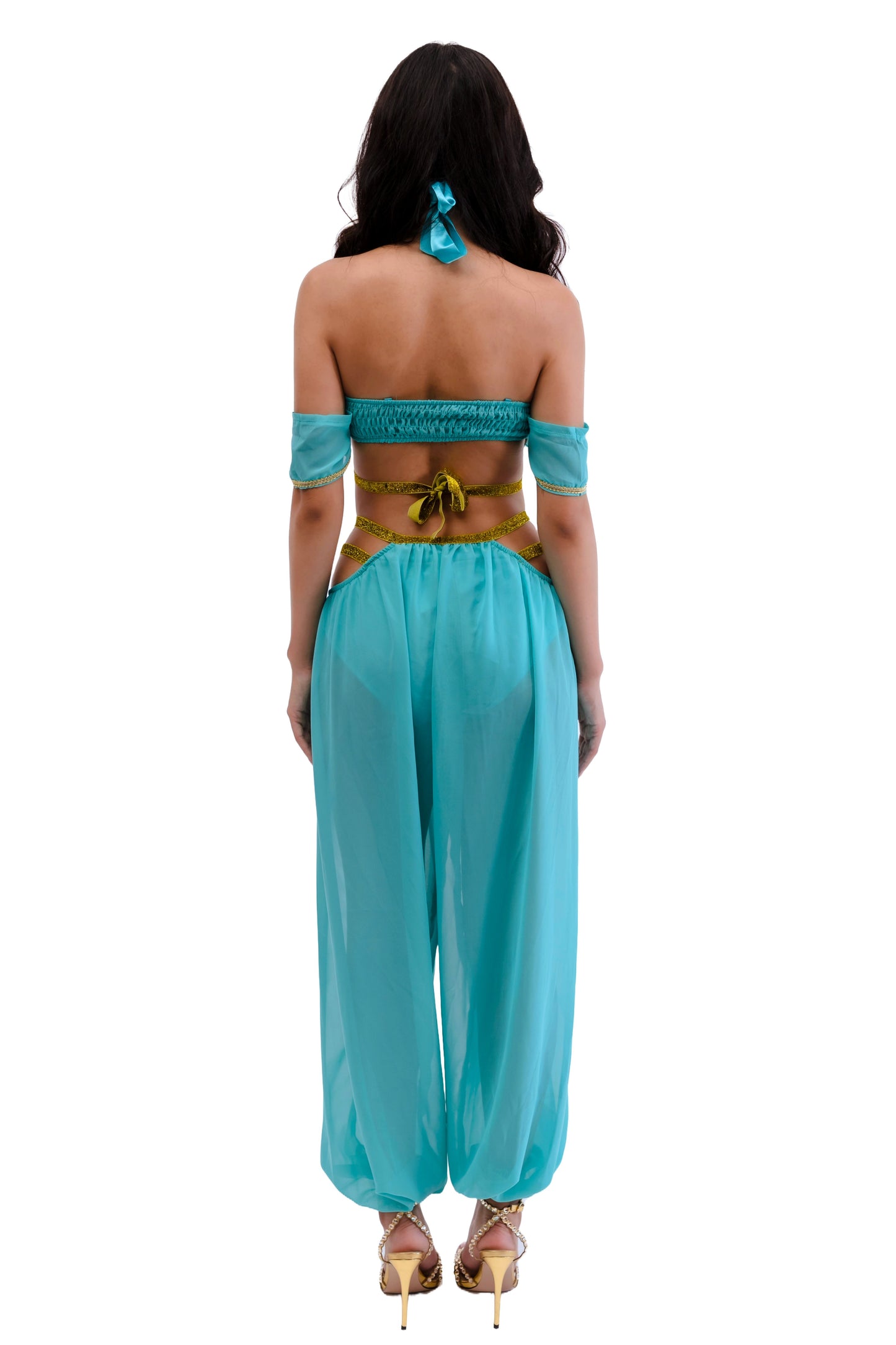Princess of the Dunes Arabian Costume