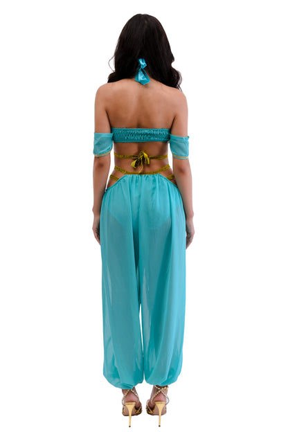 Princess of the Dunes Arabian Costume