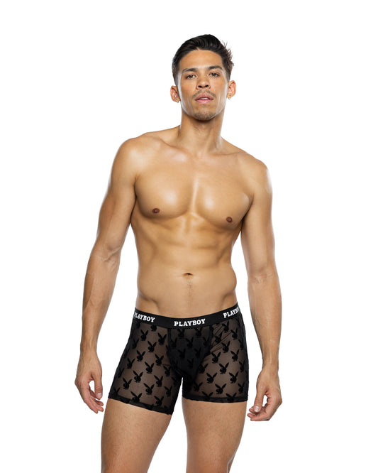 Playboy Mens Burnout Bunny Boxer Briefs Roma Confidential