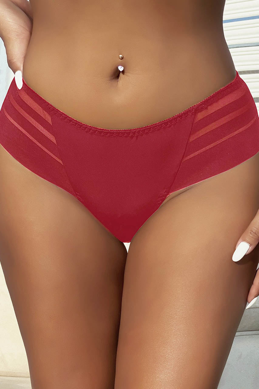Plus Size Stripe Mesh Bikini Panty.