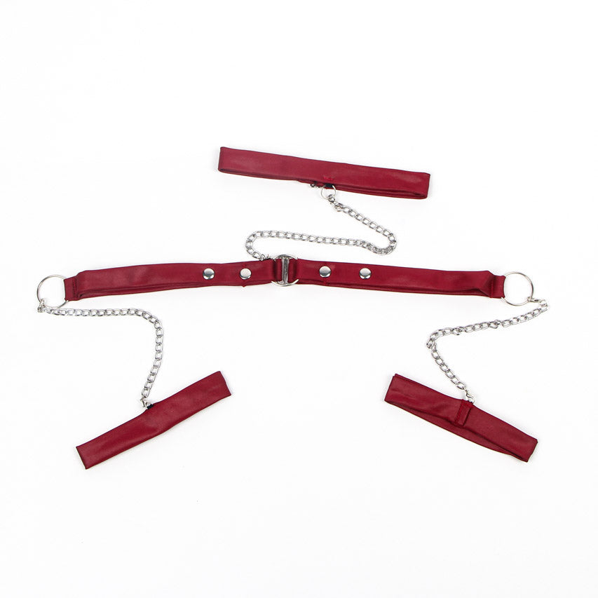 Black Mesh and Leather Chemise.