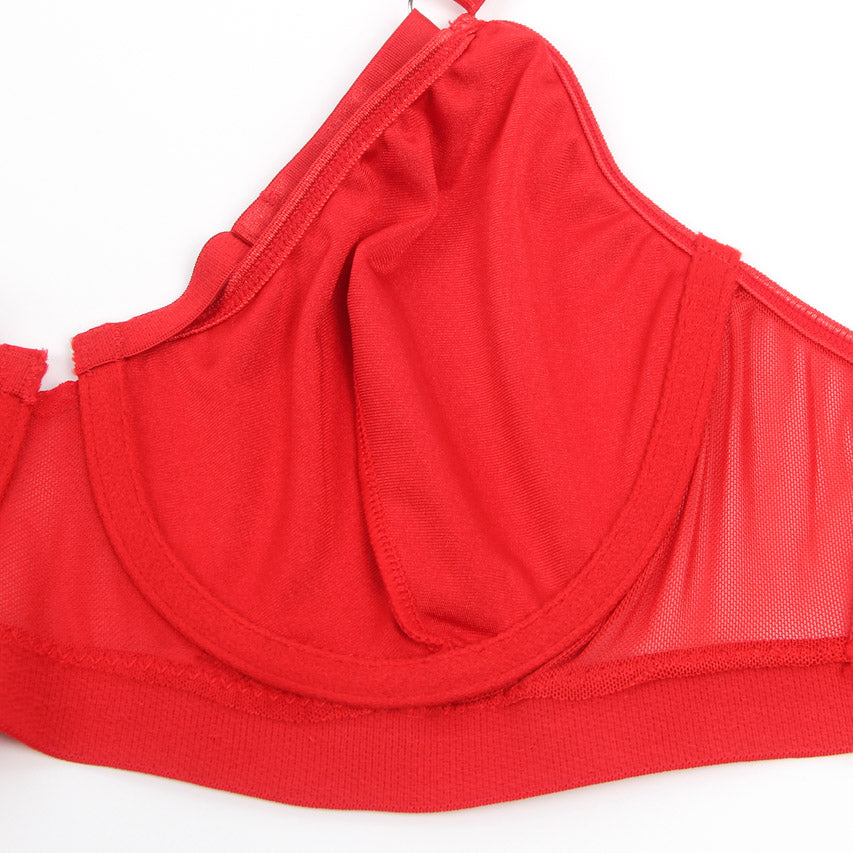 Bondage Bra and Garter Lingerie.