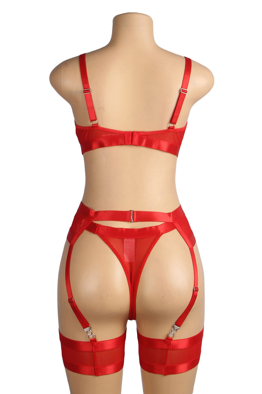 Bondage Bra and Garter Lingerie.