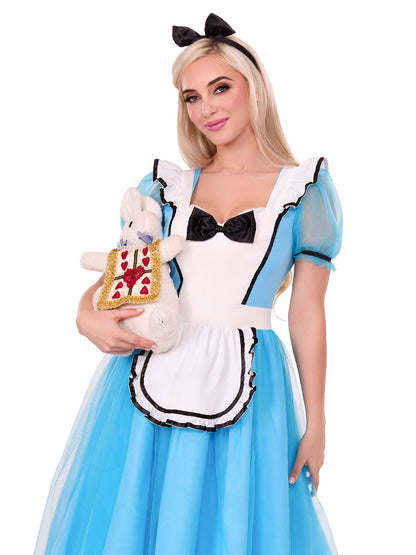 Looking Glass Alice Costume - Unspoken Fashion