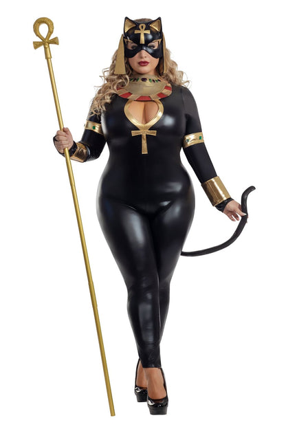 Starline Plus Divine Feline