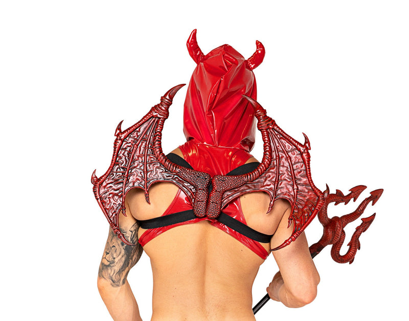 Devil Wings  - Costume Accessory-Roma Costume